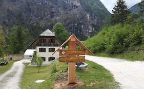 Organic Tourist Farm Pri Plajerju